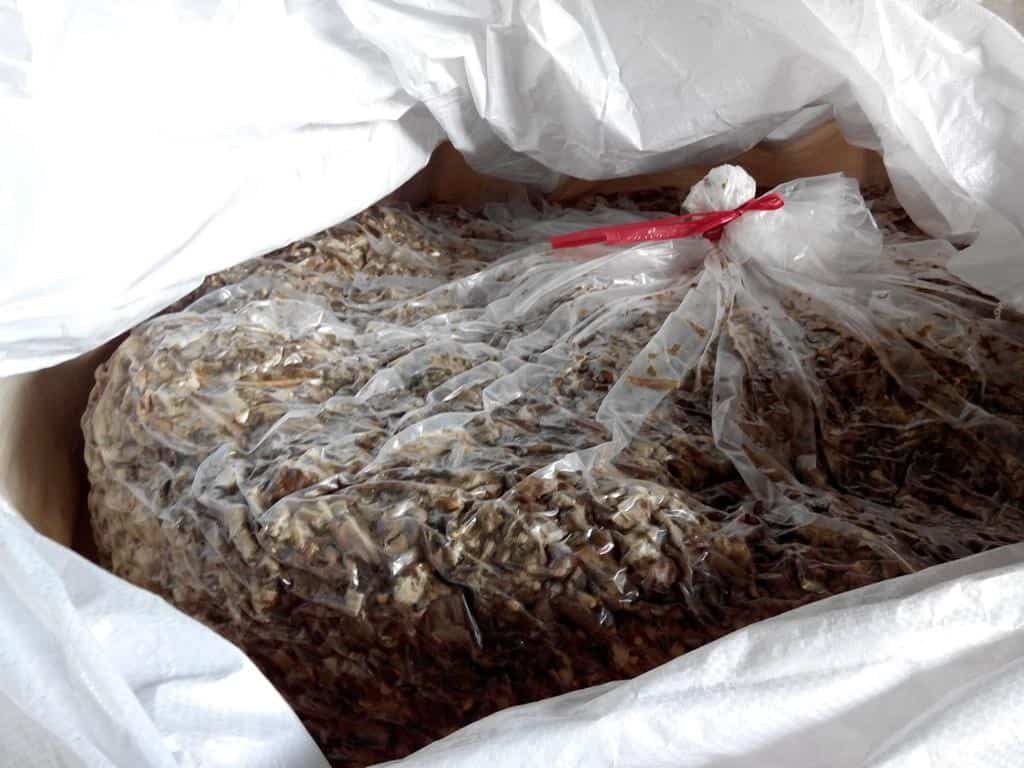 Bao Jumbo ủ chua giúp lưu trữ và bảo quản bắp ủ không bị ảnh hưởng trong quá trình ủ và vận chuyển