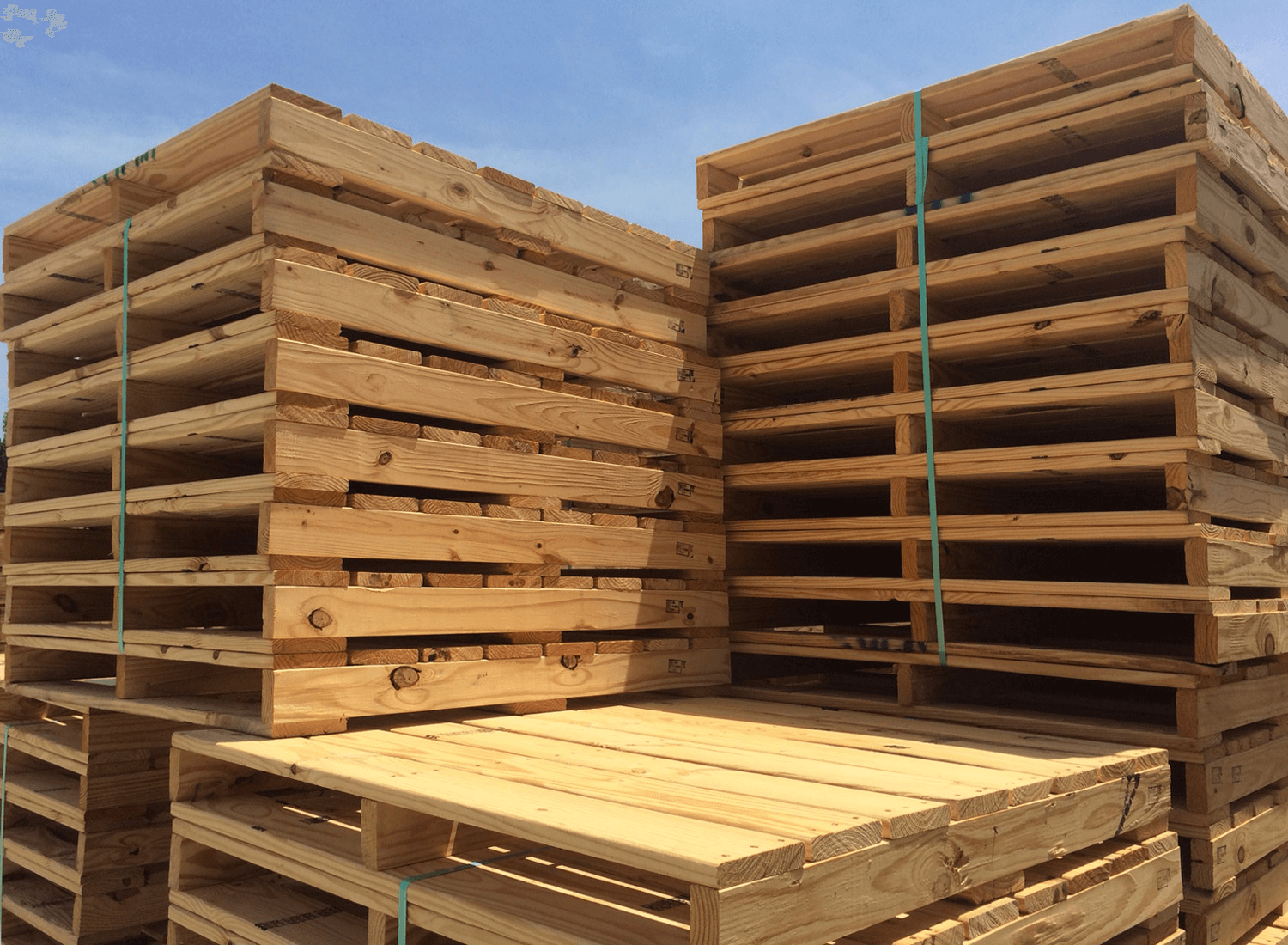 Các kích thước pallet gỗ theo chuẩn ISO